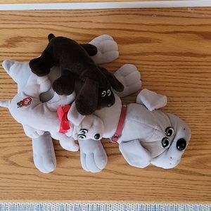 3 pound puppies